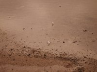 IMG 00946