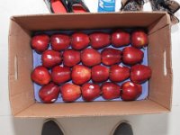 IMG 00948