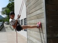 IMG 01515