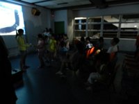 IMG 01550