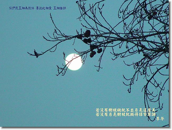 您正在觀看最後一張幻燈片