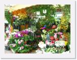 2006-05-05_20 * 800 x 600 * (320KB)