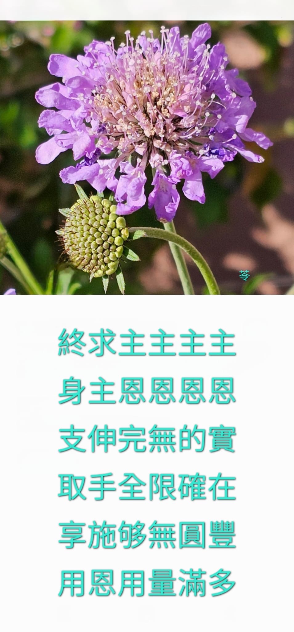 主恩實在豐多  李苓牧師